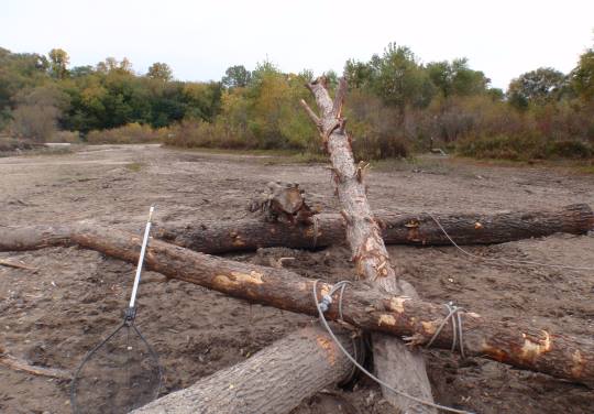 Sheboygan, WI River Habitat by OES