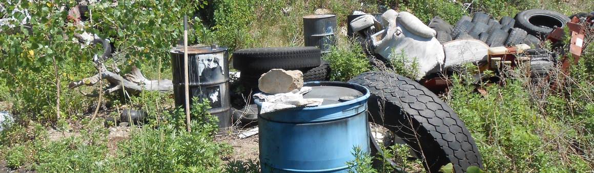 Monitoring Well Abandonment - Crab Orchard National Wildlife Refuge, IL - SRS Project